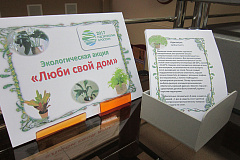 «Экологическая акция»