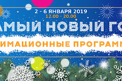 "Развлекательные анимационные программы в библиотеках с участием сказочных героев"